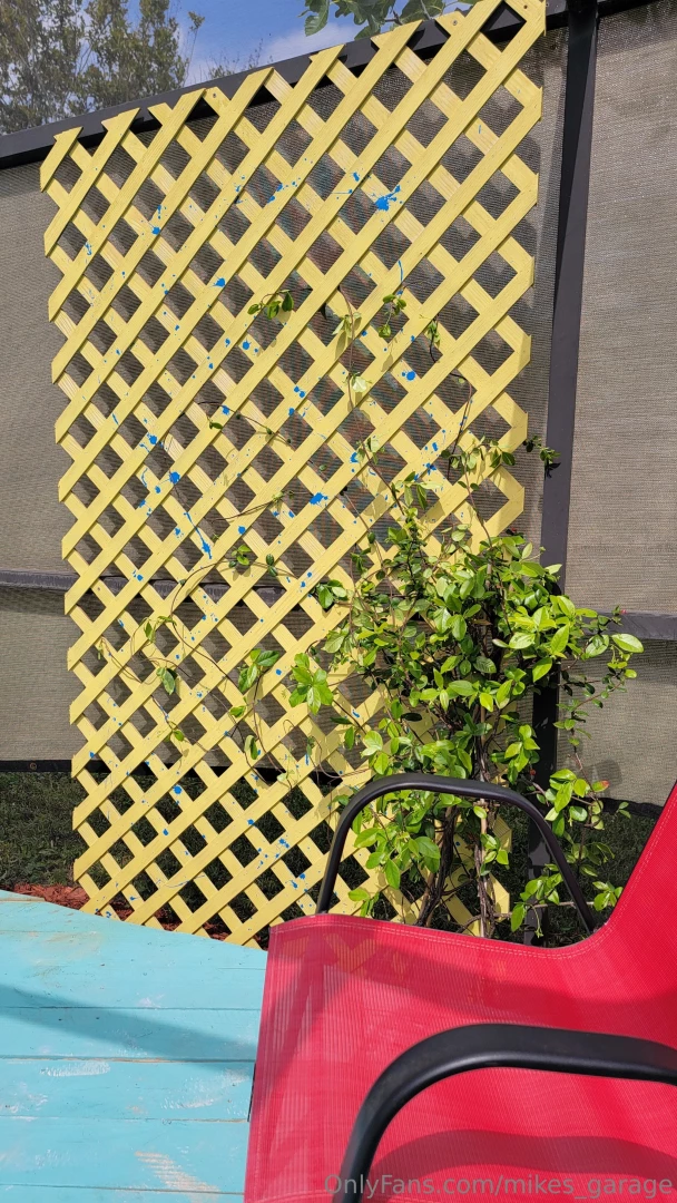 Flexed my green thumb a little over the past few days and enjoyed the part 1 