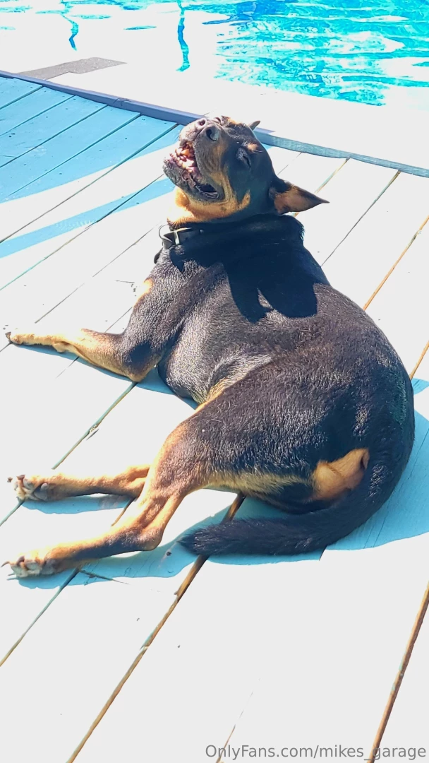 Flexed my green thumb a little over the past few days and enjoyed the part 3 