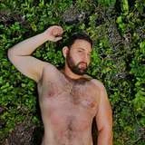 brazildaddybearfreepage