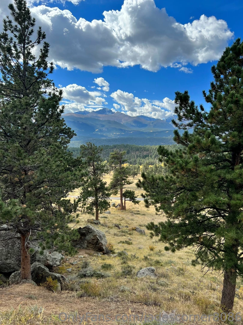 Do you like the mountains part 2 