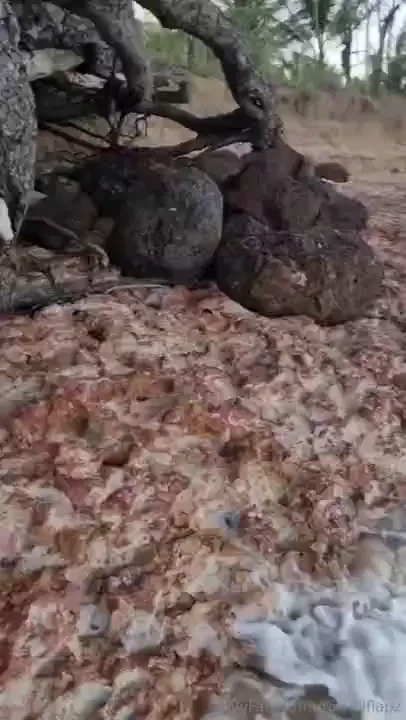 If you like a little bit of play i m your girl 