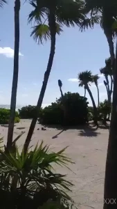 Ahhh paradise