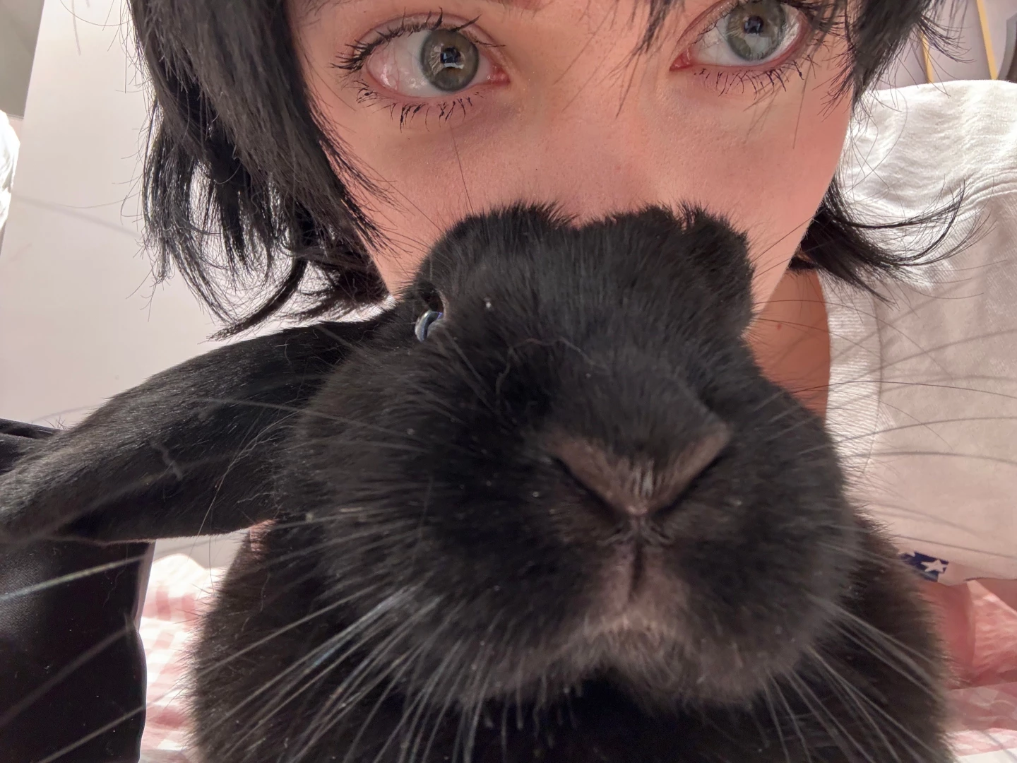 Hello friends 3 lt ive been less active on my social media lately part 4 