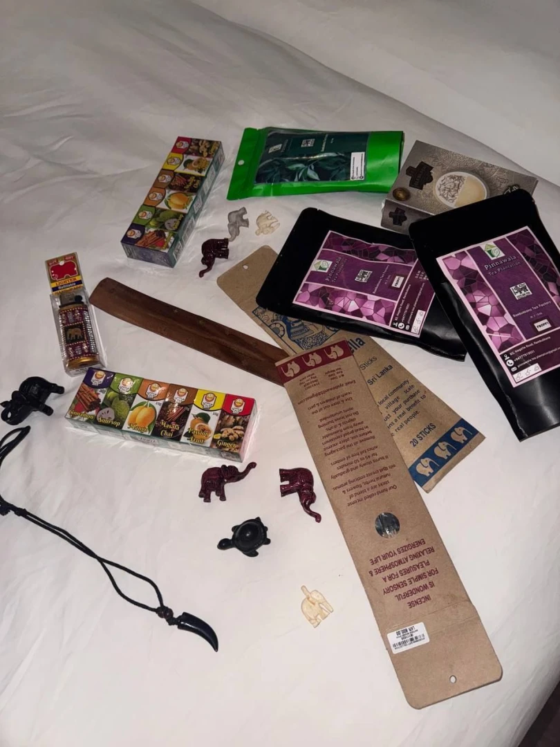 Hey hey everyone now im traveling a bit in sri lanka with my bffs part 12 