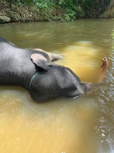 Hey hey everyone now im traveling a bit in sri lanka with my bffs part 15