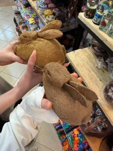 Hey hey everyone now im traveling a bit in sri lanka with my bffs part 8