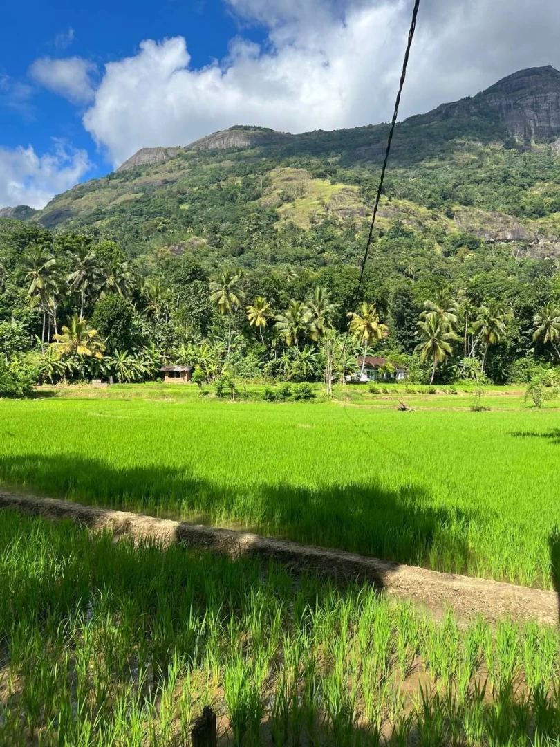 Hey hey everyone now im traveling a bit in sri lanka with my bffs part 14 