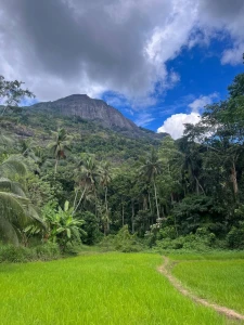 Hey hey everyone now im traveling a bit in sri lanka with my bffs part 6