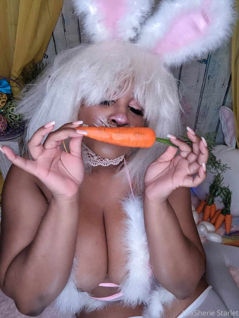 Zelfie bunny likes big stalks of carrots this set is a total of 100 part 1 