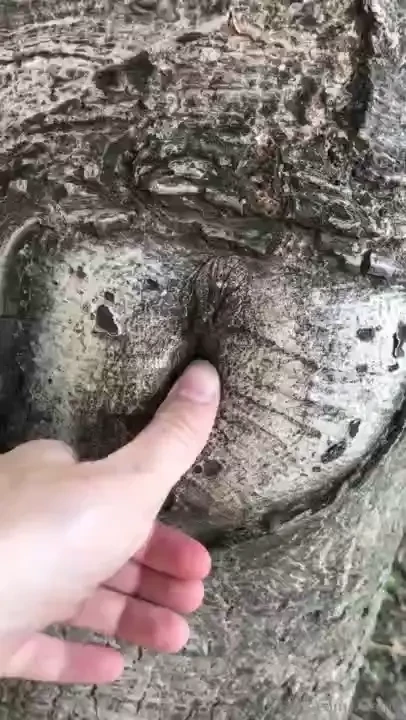 Sum more content from 2020 i explored my sexuality and played with the 