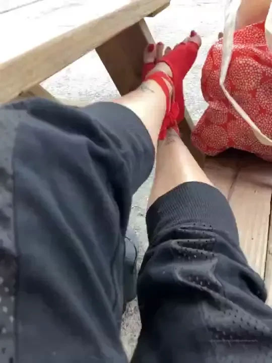 Todays reds 