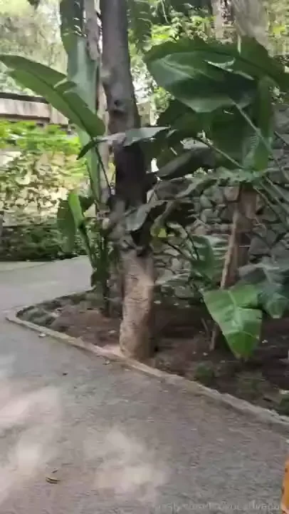 Museums are in fact a place to display 