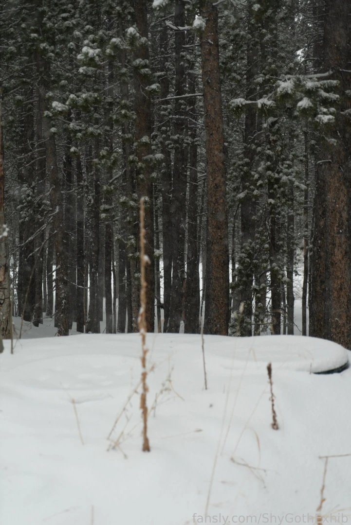 Can you spot me wandering around in the forest 