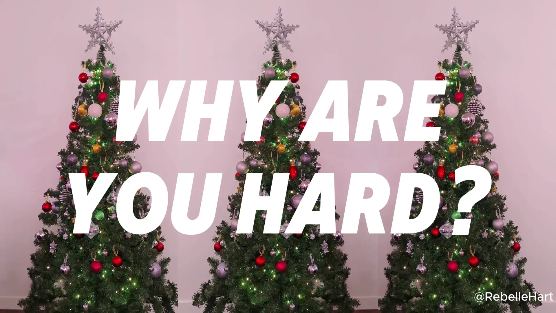 Holiday question mark full-length clip lol what tags rip off ignore 