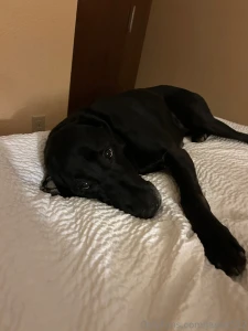 Appreciation post ricky give him some love for keeping me alive he may part 1