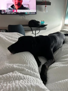 Appreciation post ricky give him some love for keeping me alive he may part 2