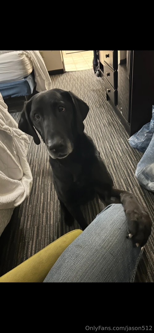 Appreciation post ricky give him some love for keeping me alive he may 