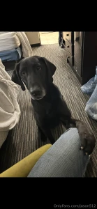 Appreciation post ricky give him some love for keeping me alive he may