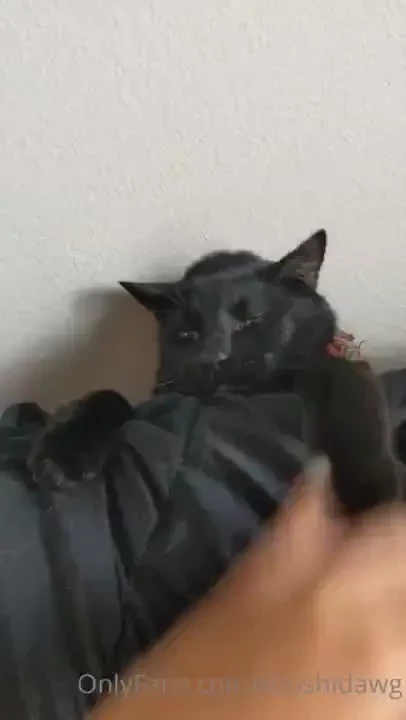 Taking a quick break from cleaning in the meantime poll results are in 