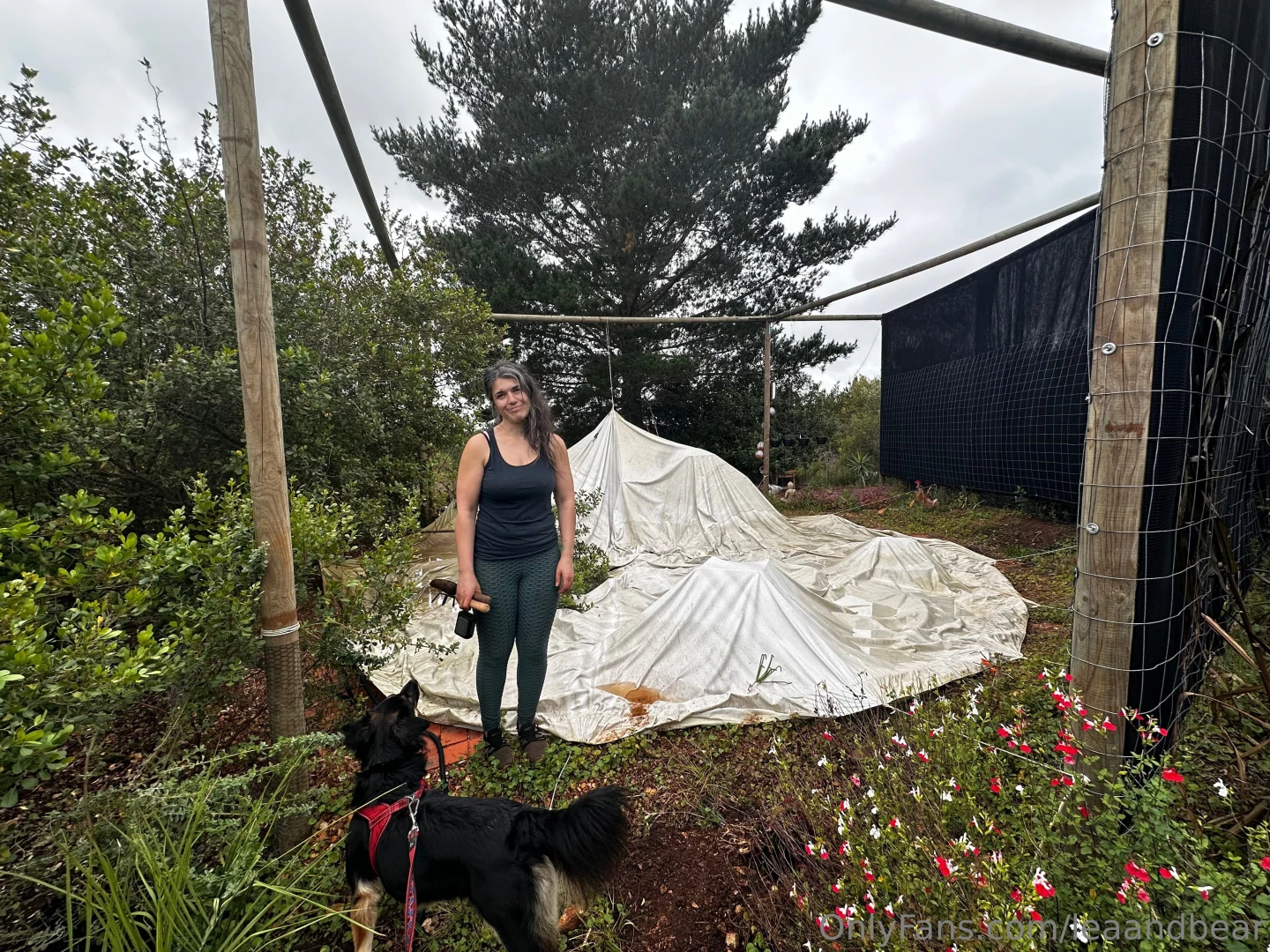 Sorry we have been absent but our home got a little torn by a storm we 