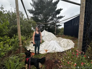 Sorry we have been absent but our home got a little torn by a storm we