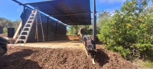 Hey everyone just wanted to say thank you to everyone for bearing with part 1