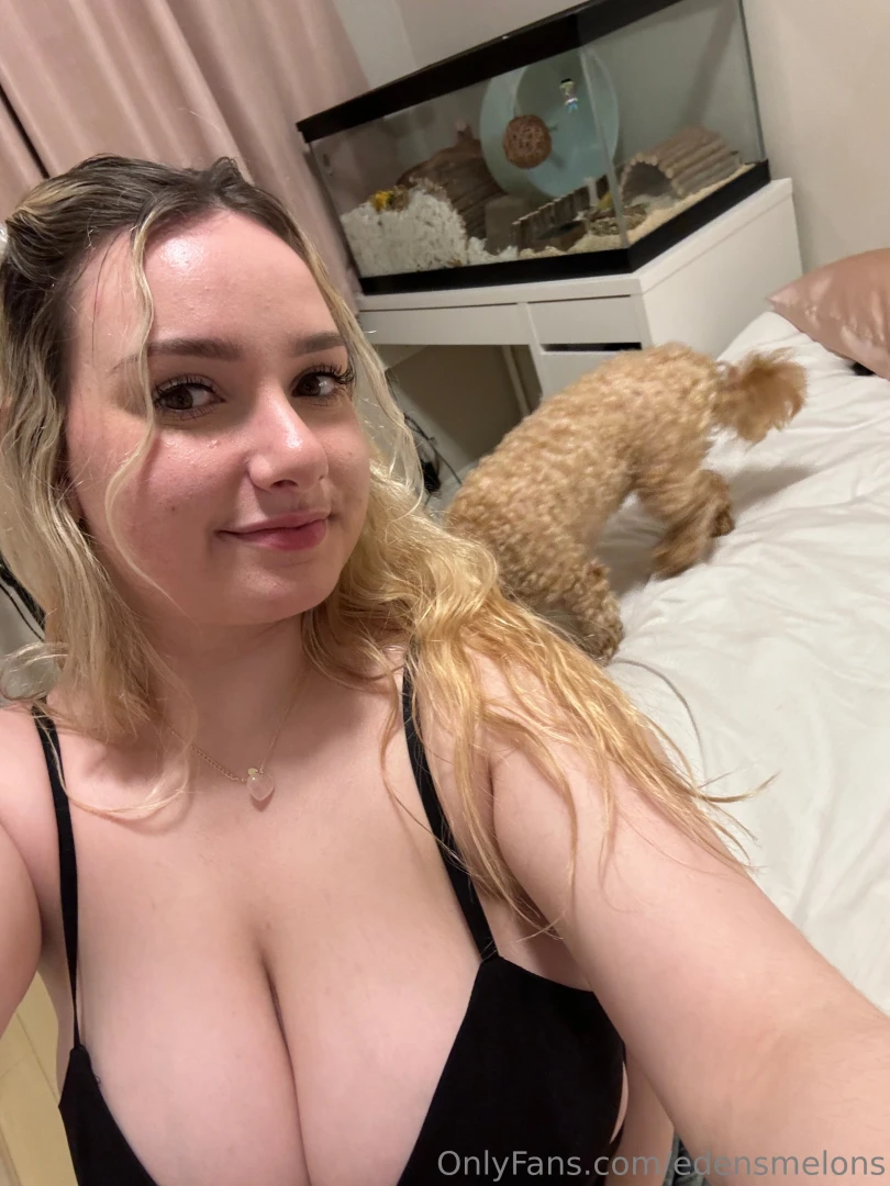 Guess who s back part 86 