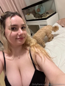 Guess who s back part 86