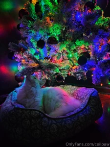 My princess in his bed