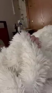 Going to be a big teas today woke up all hard with no one to take care