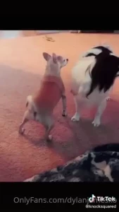 My dm s still arent working i was gonna send a sweet goodnight message