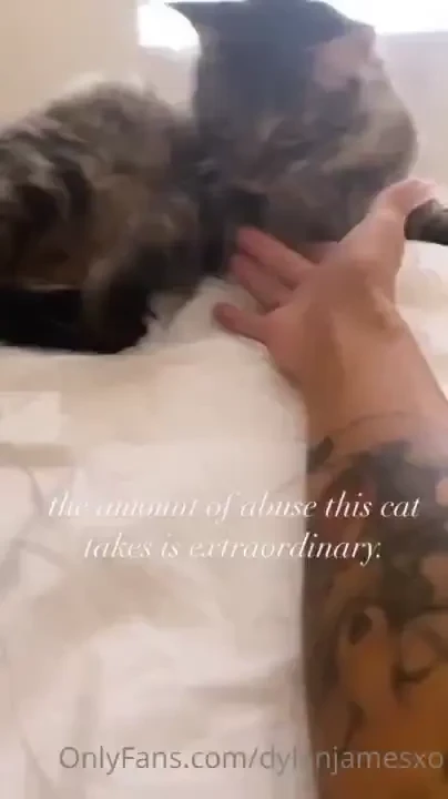 Witching hour shenanigans tip this post if you think bearcat should 