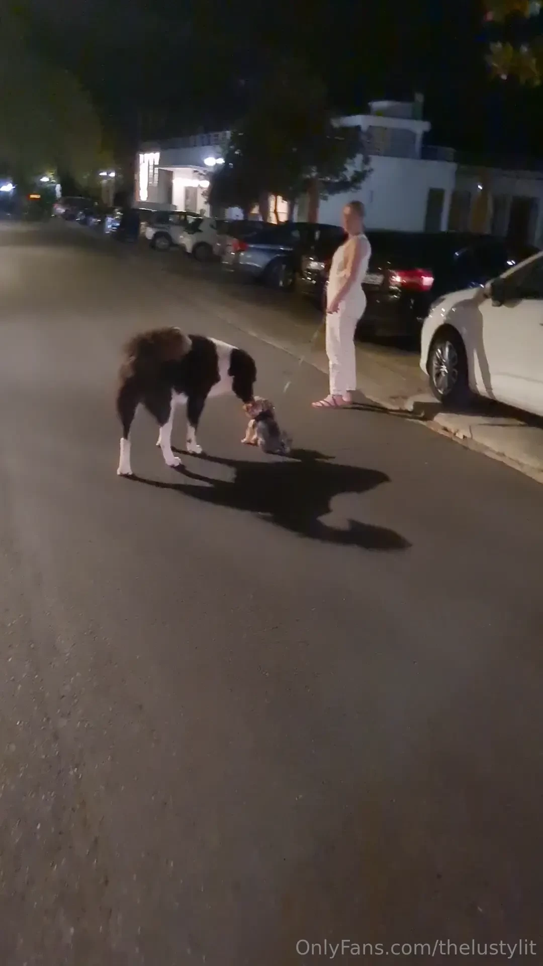 Arrivati a delphi la sera finalmente abbiamo mangiato pesce bene part 1 