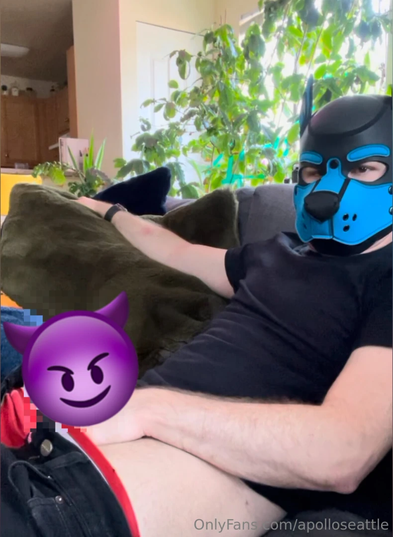 Just a puppy playing with his bone - more on of 