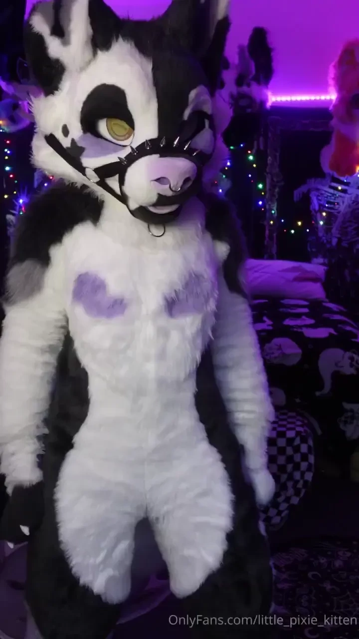 My fullsuit arrived this week i ll unzip it so you can see my little 