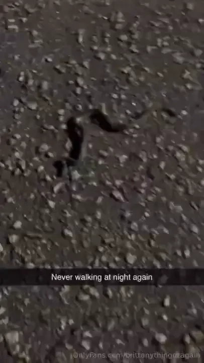 A little over a mile this time after walking up on the snake i felt 