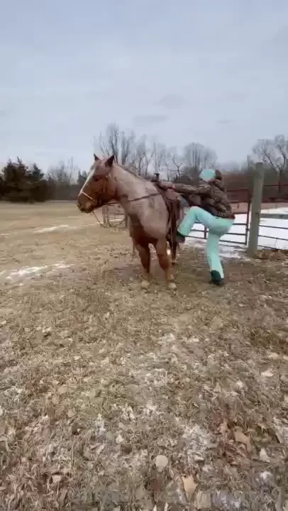 The old man is doin great he s arthritic so on a joint supplement any 