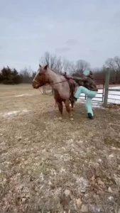 The old man is doin great he s arthritic so on a joint supplement any