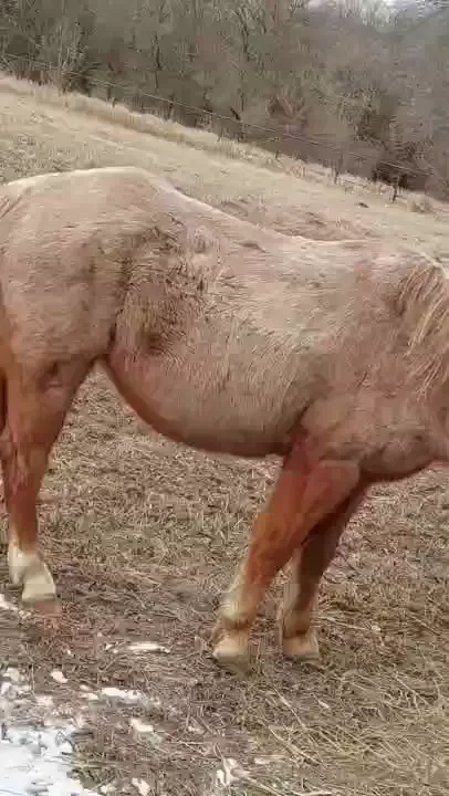 The old man is doin great he s arthritic so on a joint supplement any part 1 