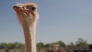 Model farmers season 2 trailer is here i don t think you guys are part 1