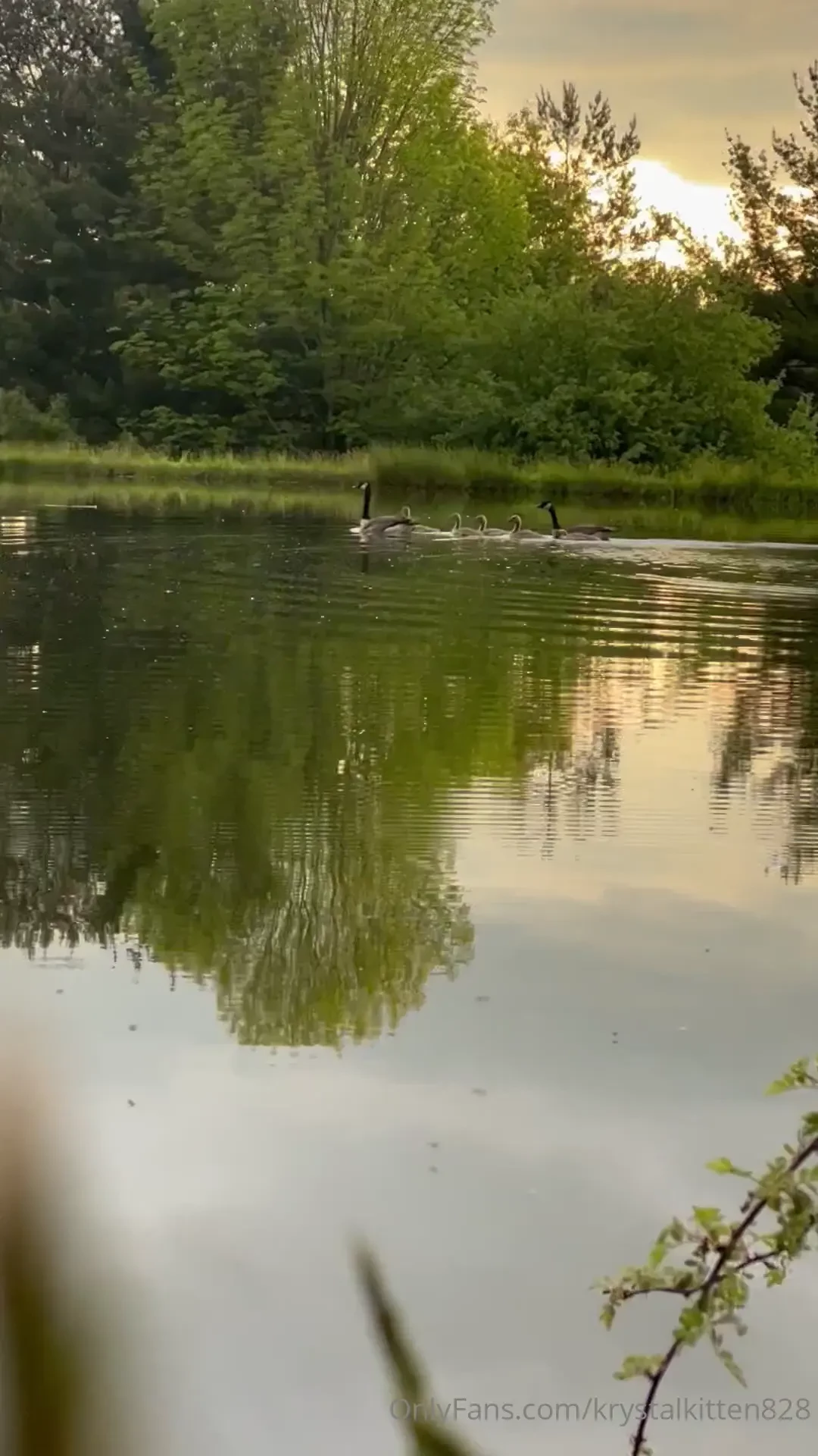 The modeling event was such a blast despite the lack of connection and part 1 