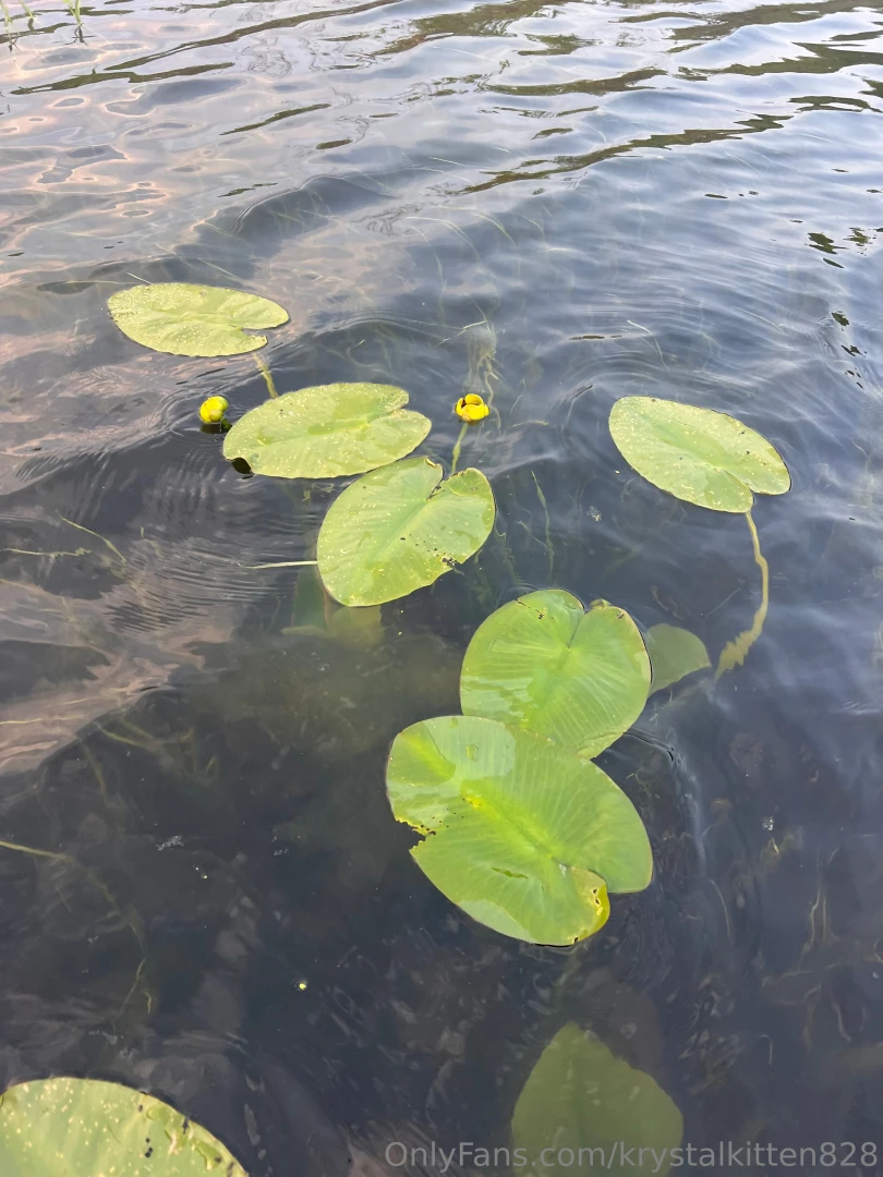 Appreciating the glimmers catching up with messages soon hang tight xo part 2 