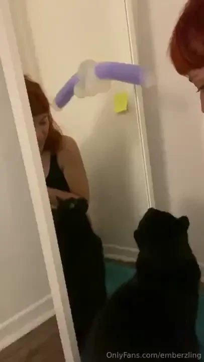 Probably going to archive this later just wanted to show a hilarious 