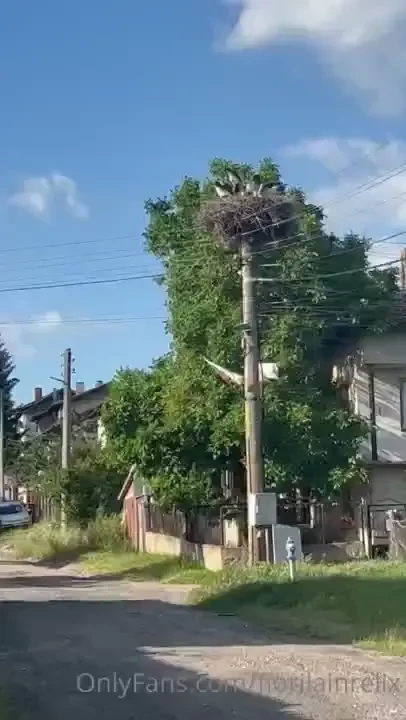 Hey guys some pictures and videos from bulgaria some pictures with my 