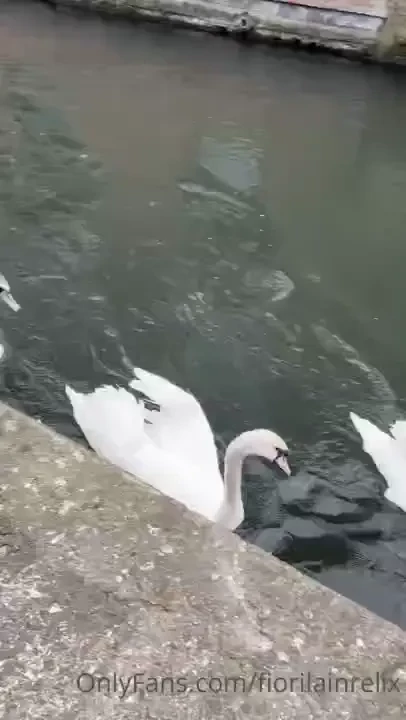 Hey guys hope you are having a great day just one typical day in part 4 