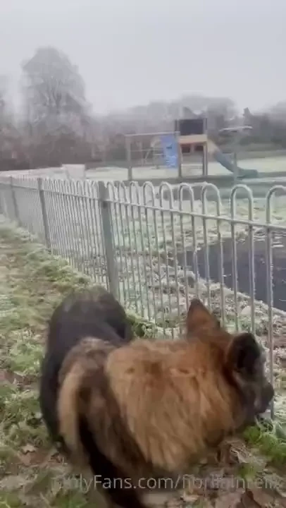 Happy sunday winter fairytale so beautiful really how is your mood 