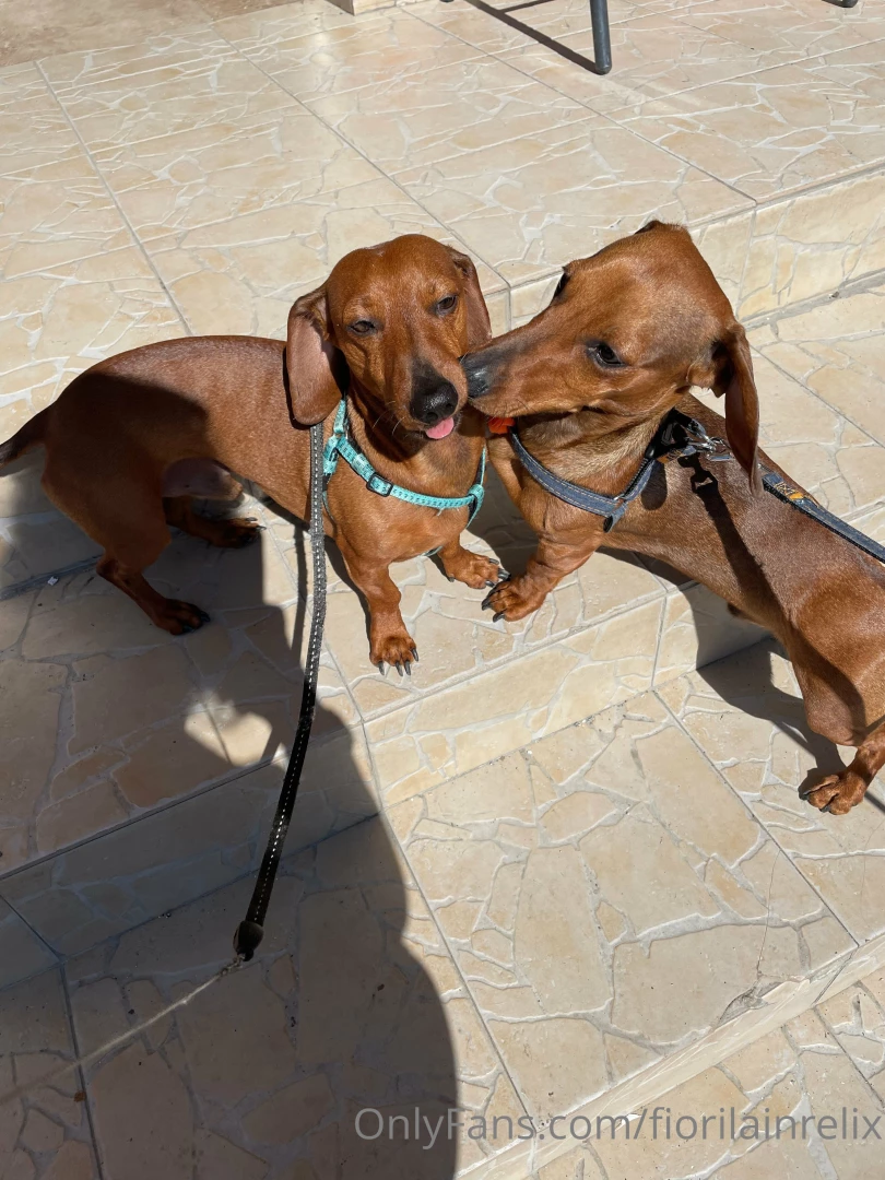 Some pictures from sofia hope you are having a wonderful weekend i am part 8 