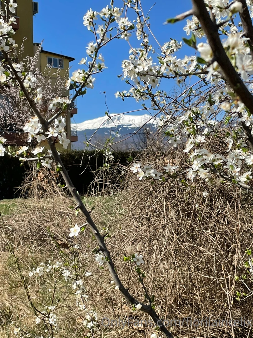 Some pictures from sofia hope you are having a wonderful weekend i am part 5 