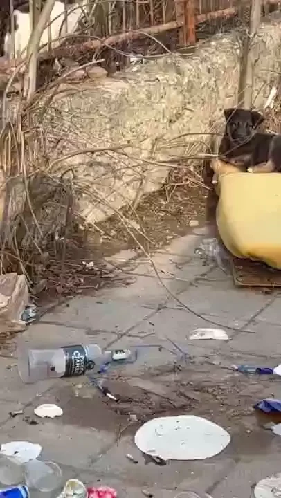 Hello guys now i am back to uk and sending you my traditional video 