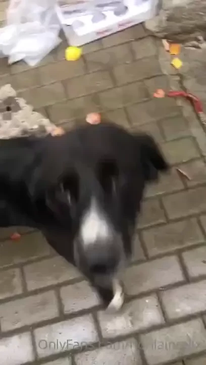 Hello guys just landed on heathrow returned back from bulgaria some part 9 